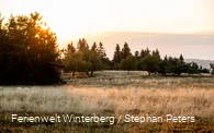 Content_Creator_House_Winterberg_2022_Tag_1_stephanpetersdesign.de-25.jpg