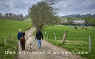 Alpakafarm Inti