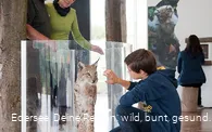 Ausstellung NationalparkZentrum