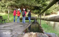 segwaytour-willingen-diemelquelle-2.jpg