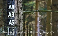Eine Vielzahl von Wanderwegen eröffnen sich dem Ga