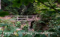 DSC04719.jpg