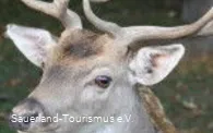 2374661
