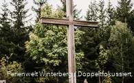 Ein großes Holzkreuz auf einer Wiese mit Wald im Hintergrund.