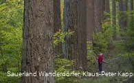 Sauerland-Seelenort Himmelssäulen