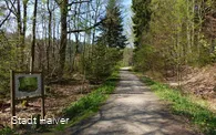Waldweg entlang des Naturlehrpfades