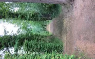 Barockgarten, Gang