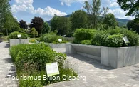 Kräutergarten