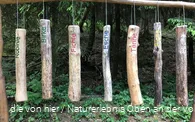 Das Dendrophon
