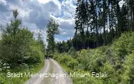 Weg zum Willertshagener Teufelsstein