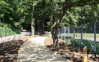 Finnenbahn