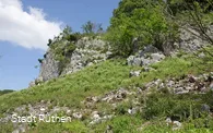 Hoher Stein mit Wacholderheide