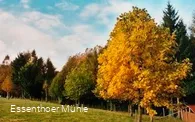 Arboretum Essenthoer Mühle Wiese
