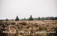 Foto-10.jpg