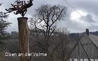Scheuerpfahl Phönix