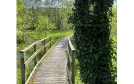 2024-05-11 SWR Bibertal - Ringelstein (bis Gestüt Wittekindshof) (c) Janine Plugge (11).jpeg