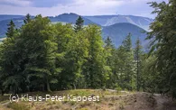 seelenort-schwalenburg-blick-zum-ettelsberg_c__klaus-peter_kappest.jpg
