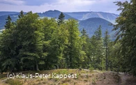 seelenort-schwalenburg-blick-zum-ettelsberg_c__klaus-peter_kappest.jpg