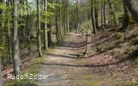 Weg zur Kapelle