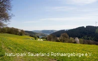 ... die herrliche Landschaft rund um den "Big
