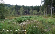 Die weite Moorlandschaft