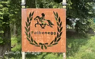 Falkenegg_Logo