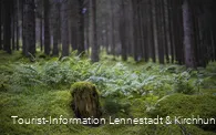 Natur im Schwarzbachtal