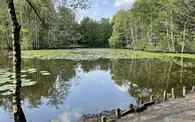 Blick auf Hexenteich
