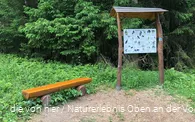 Infotafel über heimische Vogelarten