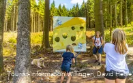 Zapfenwurf an der Käsewand am Milch-Erlebnispfad Usseln