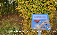 Garten der Generationen Medebach