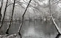 Hexenteich Winter_MK.JPG