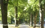 Weg im Park