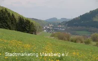 Blick auf Padberg