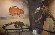 Museum Menden