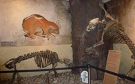 Museum Menden