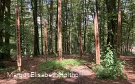 Waldschule.jpg