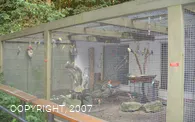 Freizeitpark Biebertal Vogelkäfig
