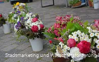 Wochenmarkt Marsberg