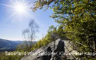 Ausblick vom Rinsleyfelsen