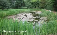 Barockgarten, Teich