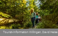 Wandergruppe im Wald