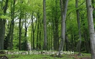 Kneipp WanderWeg Olsberg