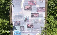 Naturschutzprojekt Kuhbach