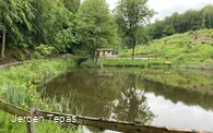 IMG_2950.jpeg