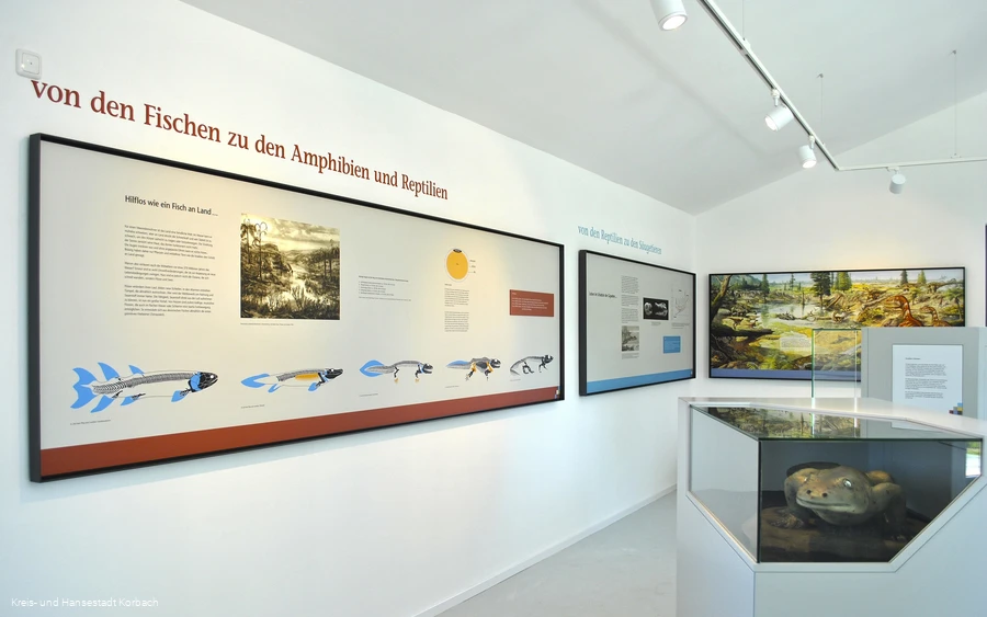 Dachgeschoss Kalkturm