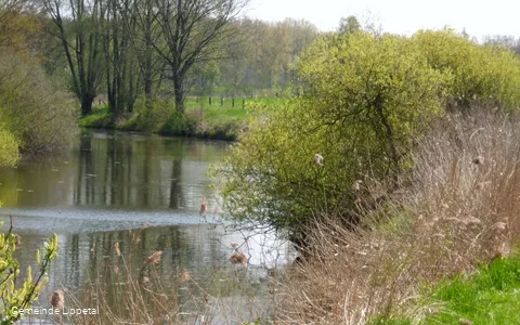 "Altarm" der Lippe