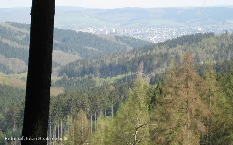 Blick auf Arnsberg
