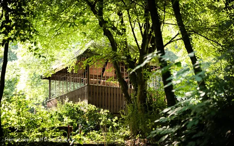 Grillhütte(135).jpg