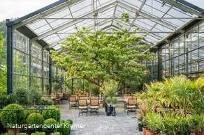 Gartenmuseum Naturgartencenter Kremer